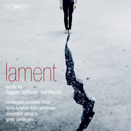Asheim/ Norwegian Soloists Choir/ Pedersen - Lament