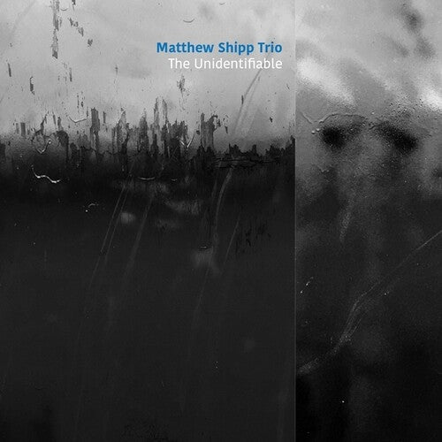 Matthew Shipp - The Unidentifiable