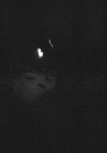 Paysage D'Hiver - Nacht