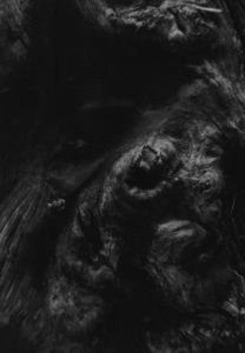 Paysage D'Hiver - Steineiche