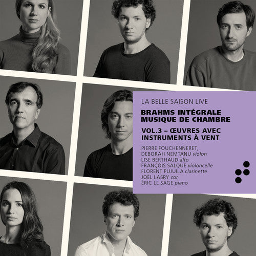 Brahms/ Pujuila/ Nemtanu - Integrale Musique de Chambre 3