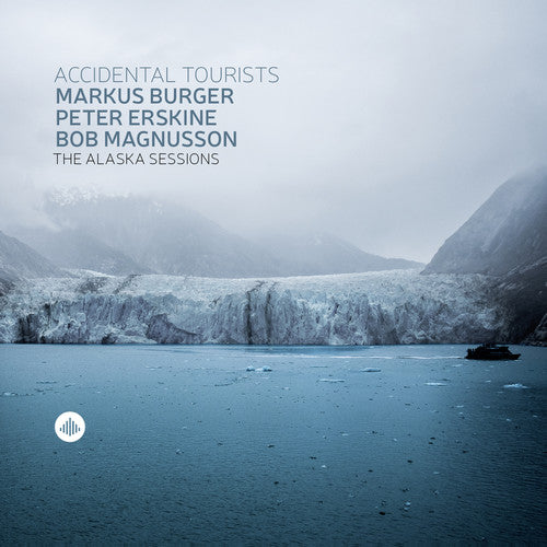 Markus Burger / Peter Erskine / Bob Magnusson - Accidental Tourists