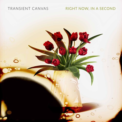 Transient Canvas - Right Now in a Second