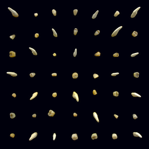 Clipping - Visions Of Bodies Being Burned