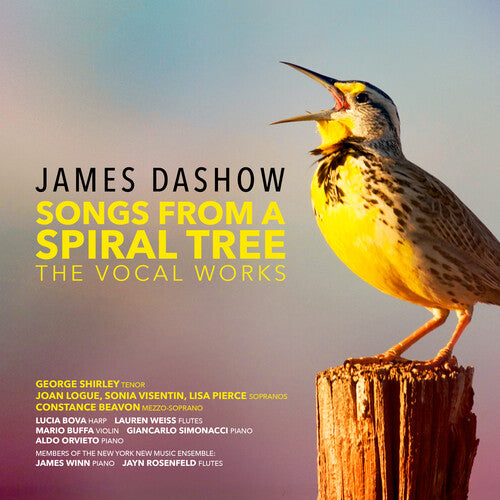Dashow - Songs from a Spiral Tree