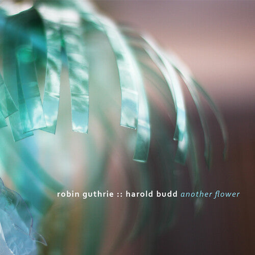 Robin Guthrie / Harold Budd - Another Flower