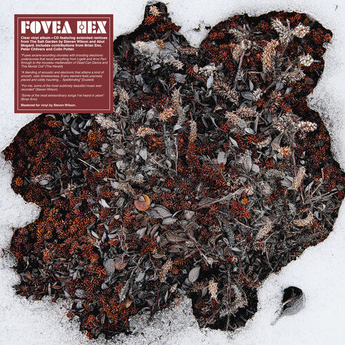 Fovea Hex - The Salt Garden (Clear Vinyl)