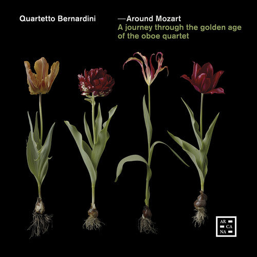 Various Artists - Around Mozart