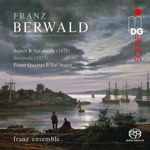 Berwald/ Franz Ensemble - Chamber Music
