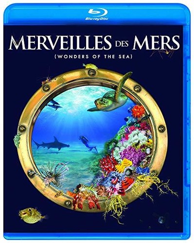 Merveilles Des Mers