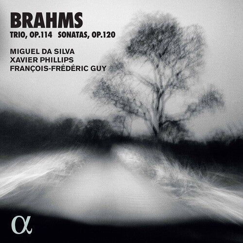 Brahms/ Silva/ Guy - Trio 114 / Sonatas