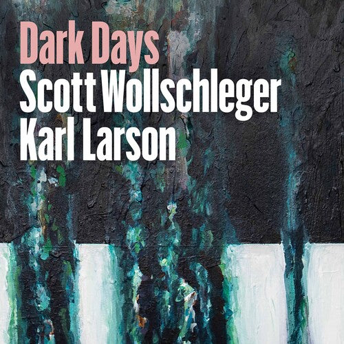 Wollschleger/ Larson - Dark Days