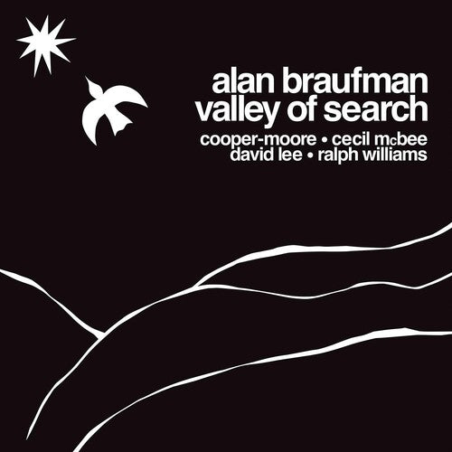 Alan Braufman - Valley Of Search