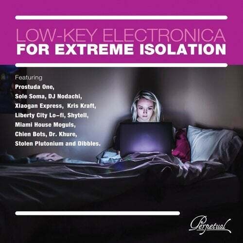 Low-Key Electronica for Extreme Isolation/ Var - Low-key Electronica For Extreme Isolation