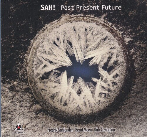 Sah - Past Present Future