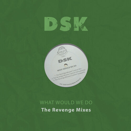 Dsk - What Would We Do - The Revenge Mixes