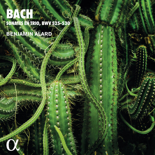 Benjamin Alard - Trio Sonatas for Organ