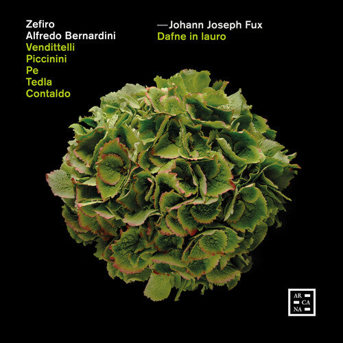 Fux/ Zefiro/ Bernardini - Dafne in Lauro