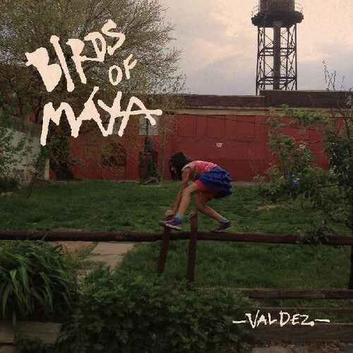 Birds of Maya - Valdez
