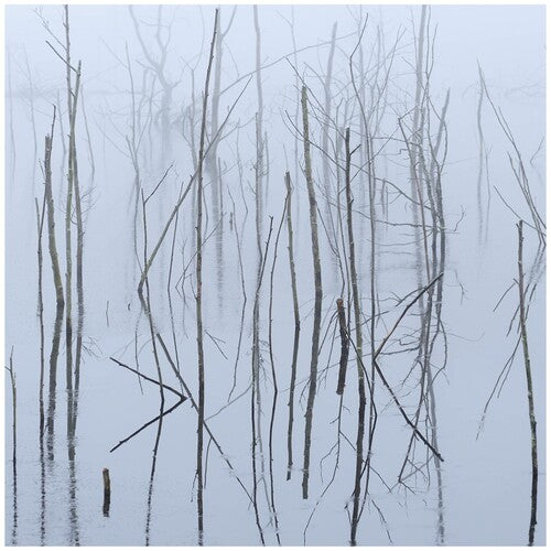 Olhava - Frozen Bloom