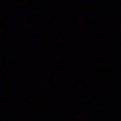 Dee Snider - Leave A Scar