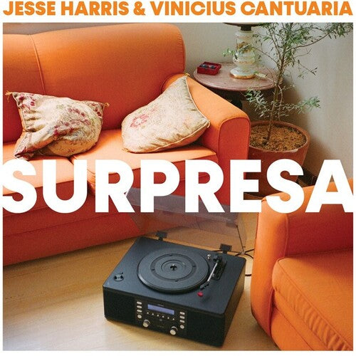 Jesse Harris / Vinicius Cantuaria - Surpresa