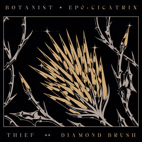 Botanist/ Thief - Cicatrix / Diamond Brush
