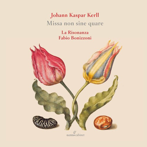 Kerll/ Risonanza/ Bonizzoni - Missa Non Sine Quare