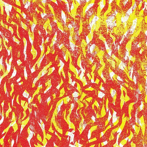 Bug - Fire