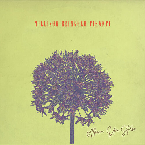 Tillison Reingold Tiranti - Allium Una Storia