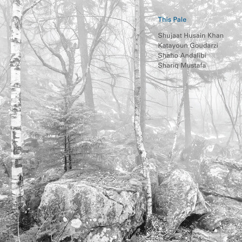 Shujaat Khan / Katayoun Goudarzi - This Pale