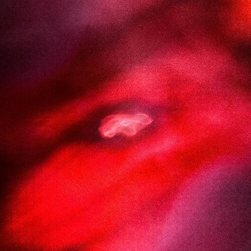 Saffronkeira/ Siavash Amini - The Faded Orbit