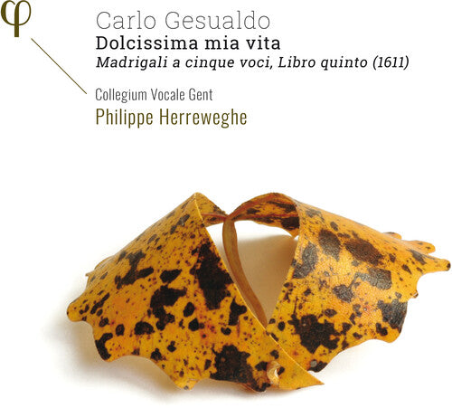 Gesualdo/ Collegium Vocale Gent/ Herreweghe - Dolcissima Mia Vita