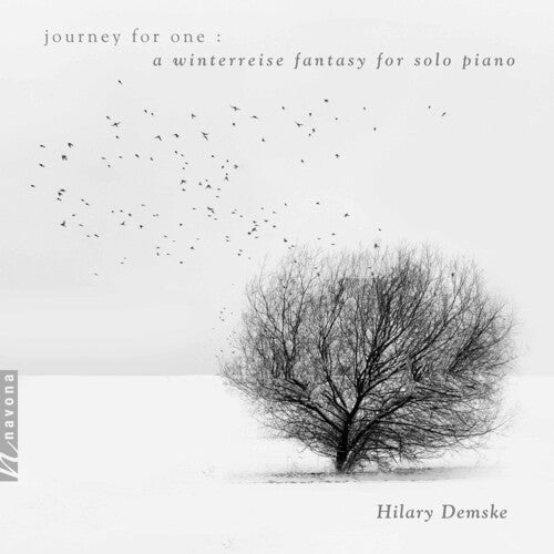 Schubert/ Demske - Journey for One