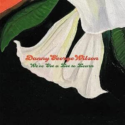 Danny Wilson George - We've Got A Lot To Learn