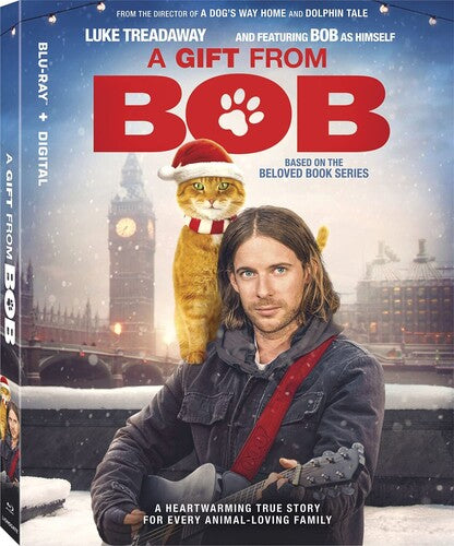 Gift From Bob / (AC3 Sub WS)