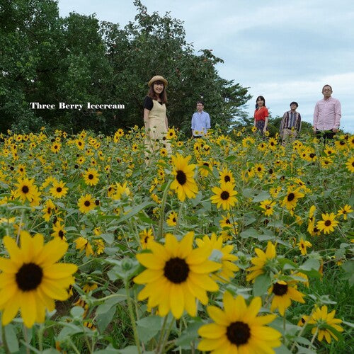 Three Berry Icecream - Three Berry Icecream