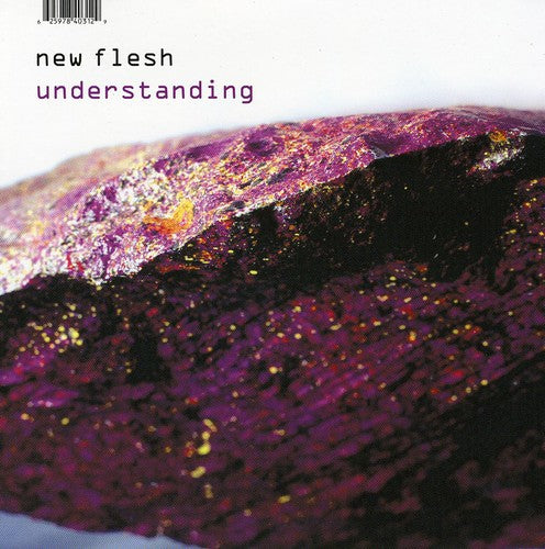 New Flesh - Understanding