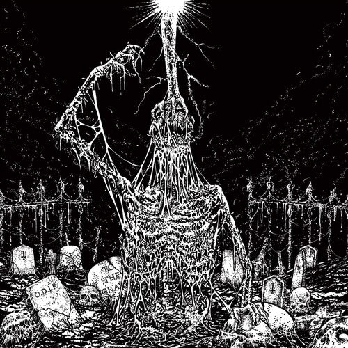 Infesticide/ in Obscurity Revealed - Split