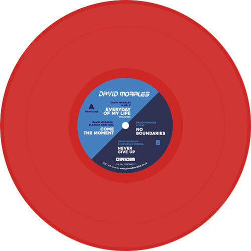 David Morales - Rise Album Sampler