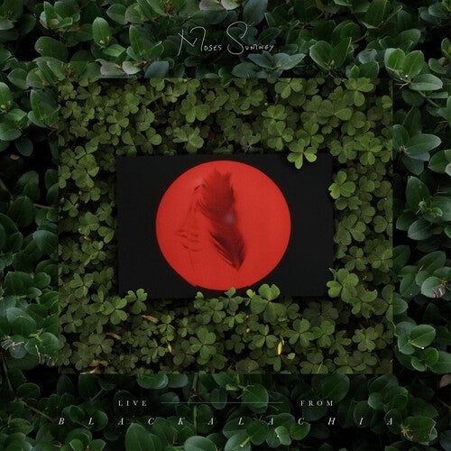 Moses Sumney - Live From Blackalachia (Clear Green)