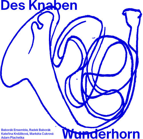 Mahler/ Baborak Ensemble/ Plachetka - Das Knaben Wunderhorn