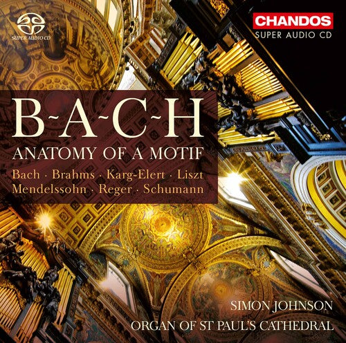 Various Artists - Anatomy of a Motif