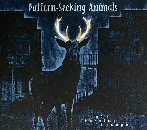 Pattern-Seeking Animals - Only Passing Through (Limited Edition)