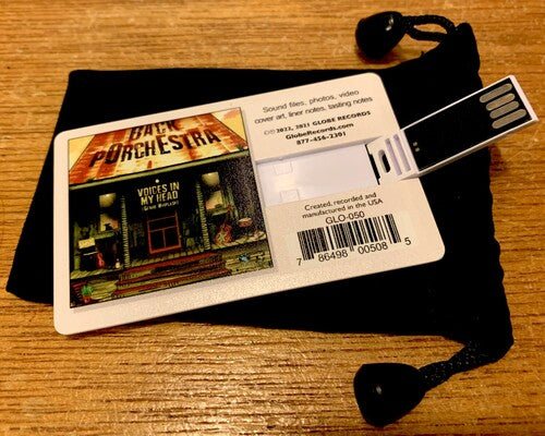 Back Porchestra - Voices In My Head