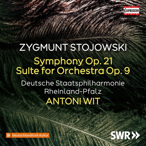 Stojowski/ Witt - Symphony 21