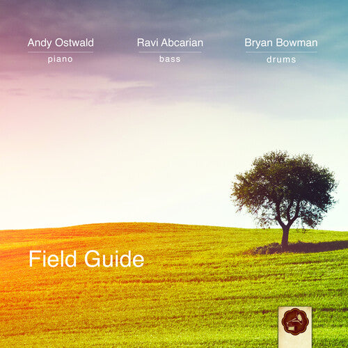 Andy Trio Ostwald - Field Guide