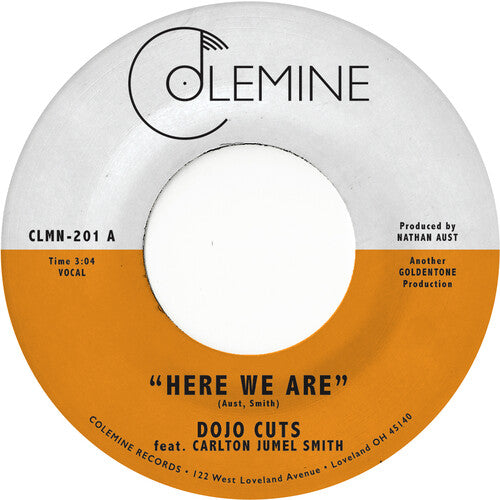 Dojo Cuts - Here We Are (Coke Bottle Clear)