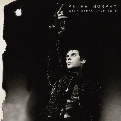 Peter Murphy - Wild Birds Live Tour