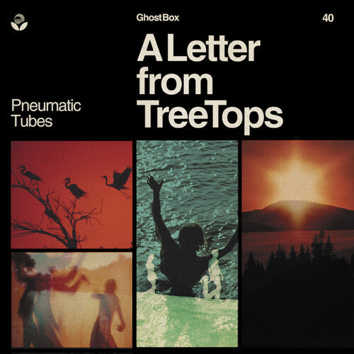 Pneumatic Tubes - Letter From Treetops